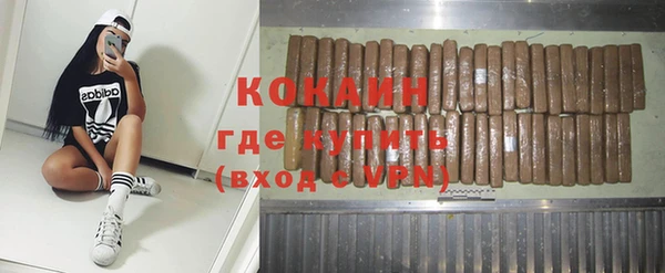сатива Козельск