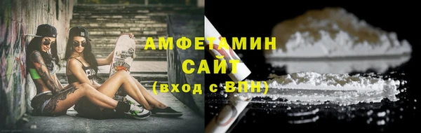 сатива Козельск