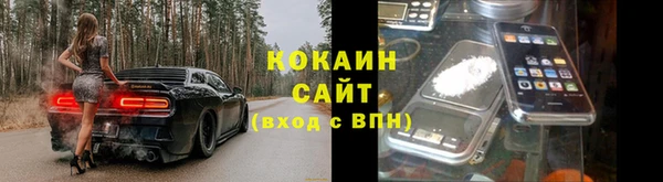 сатива Козельск