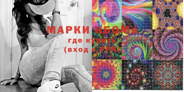 сатива Козельск