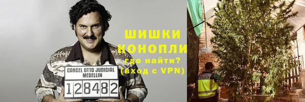 сатива Козельск